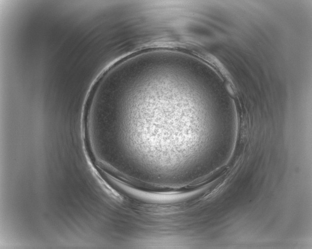 X0000071850795200607072300