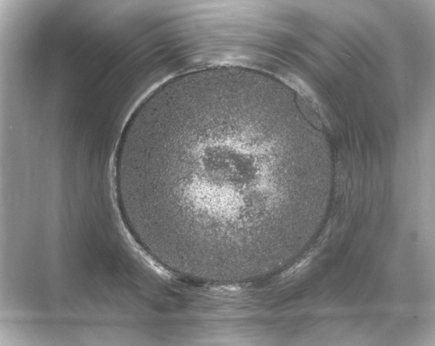 X0000071850798200607072300