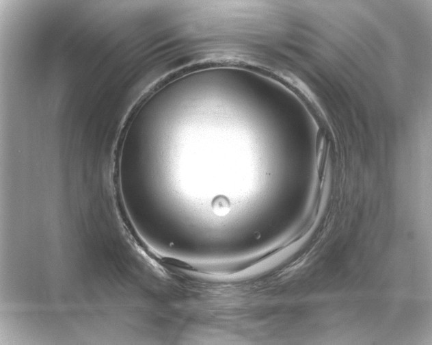 X0000071850799200607072300