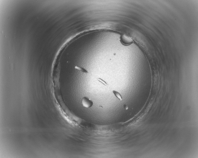 X0000071850800200607072300