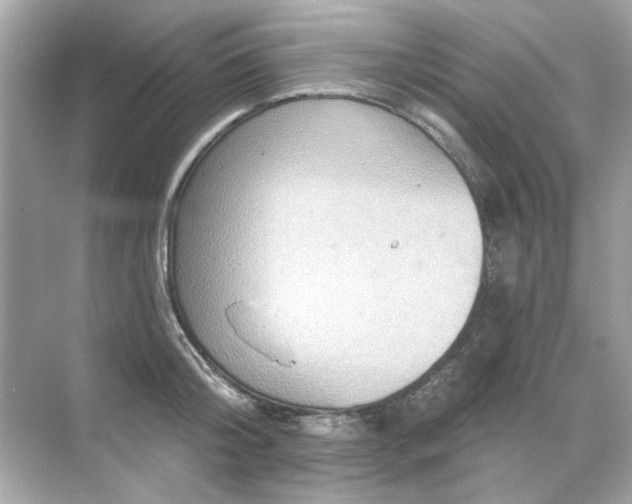 X0000071850804200607072300