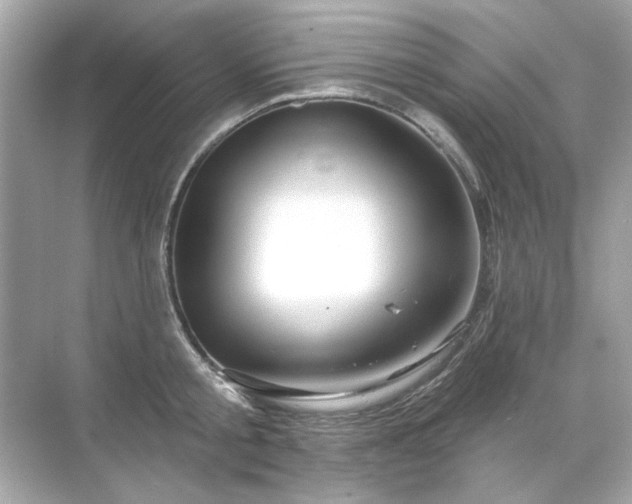 X0000071850805200607072300