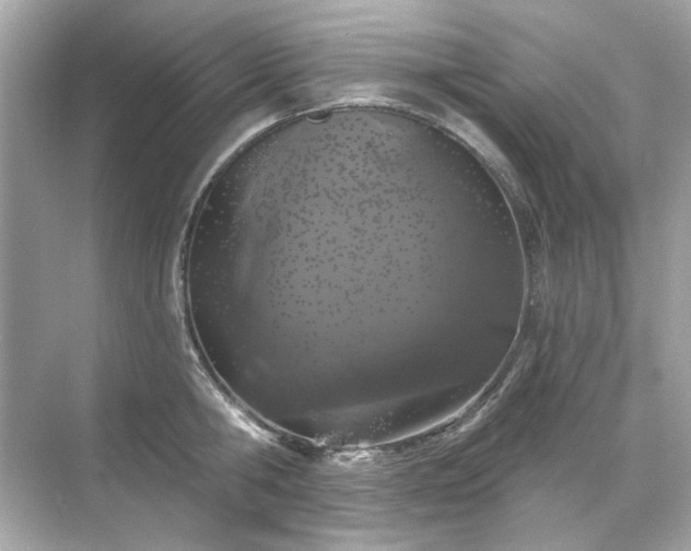 X0000071850806200607072300