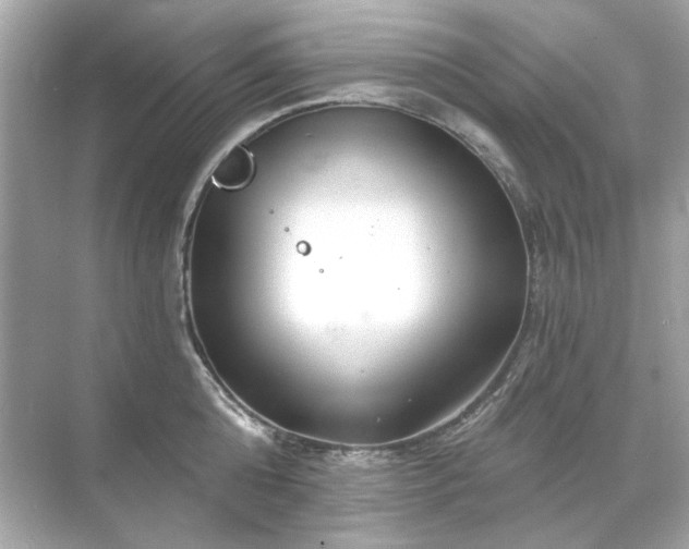 X0000071850808200607072300