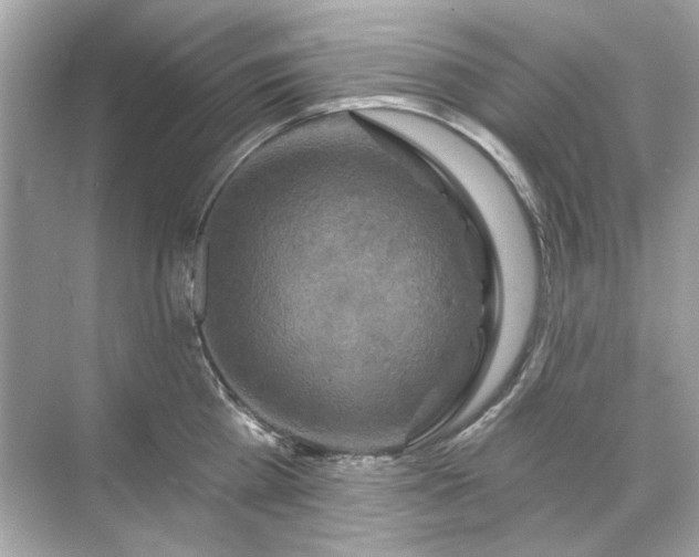 X0000071850809200607072300