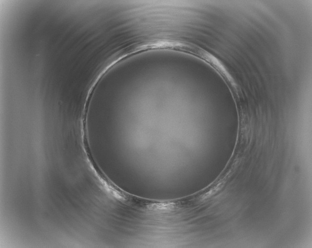 X0000071850810200607072300