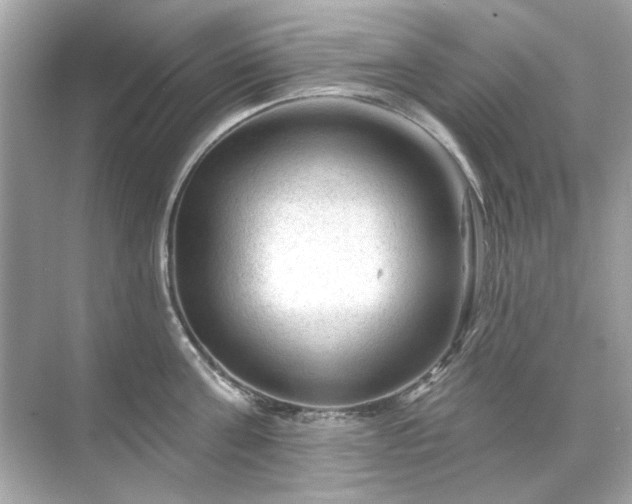 X0000071850811200607072300