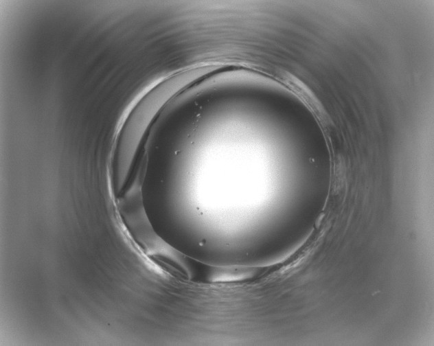 X0000071850812200607072300