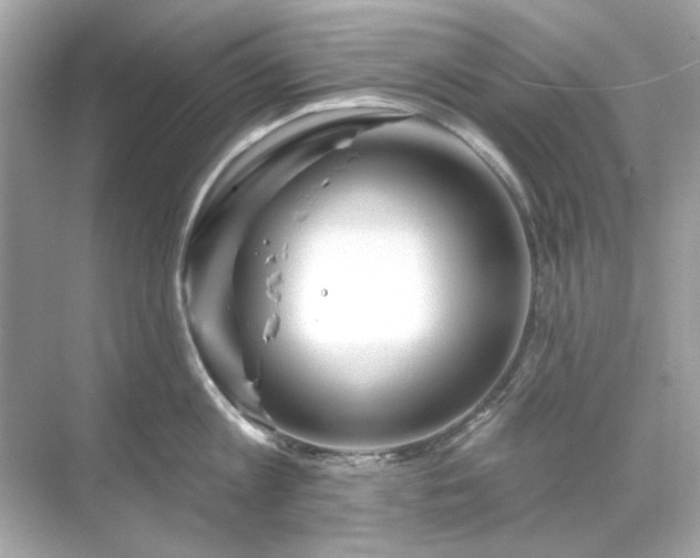 X0000071850813200607072300