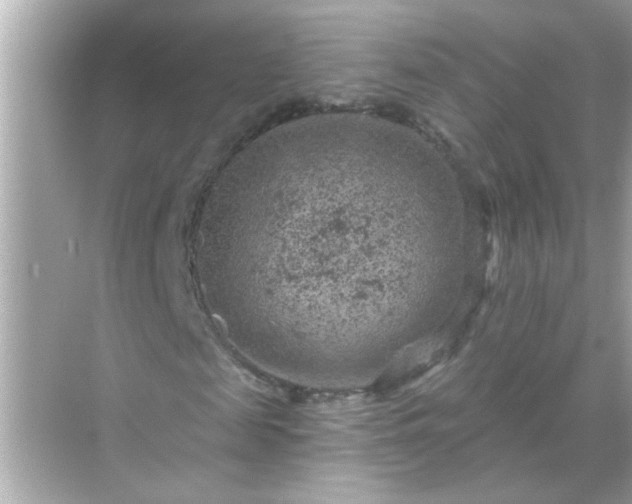 X0000071850817200607072259