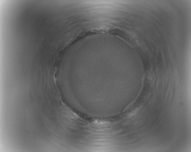 X0000071850818200607072259