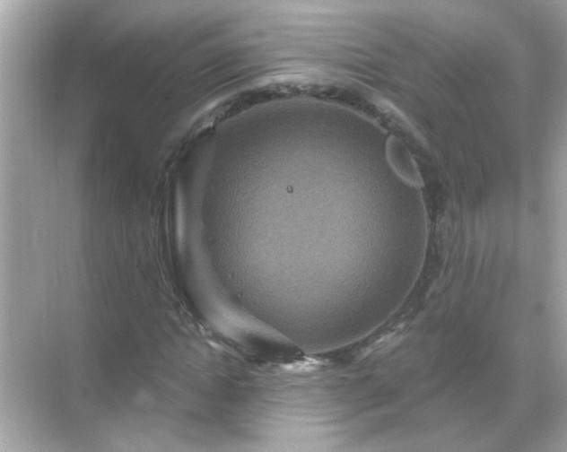 X0000071850822200607072259