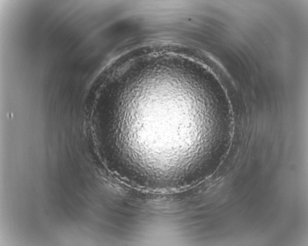 X0000071850823200607072259