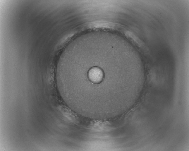 X0000071850824200607072259