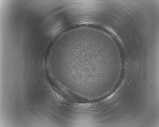 X0000071850825200607072259