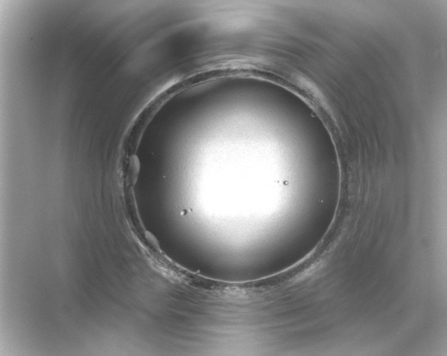 X0000071850827200607072259