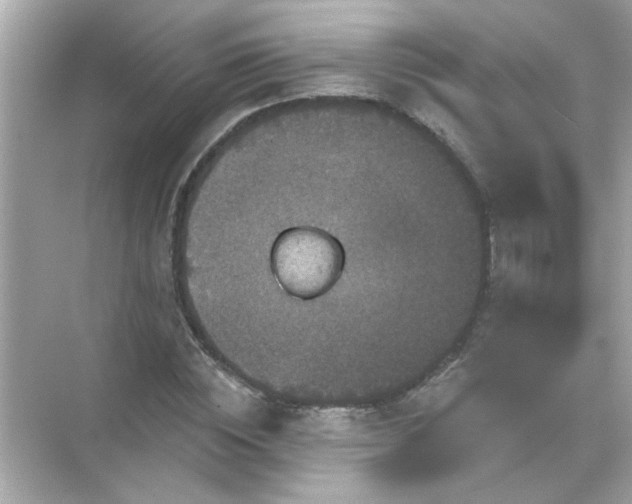 X0000071850828200607072259