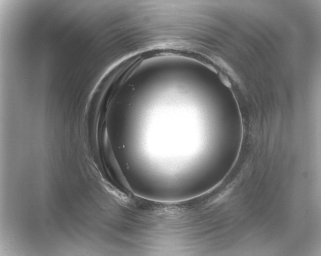 X0000071850830200607072259