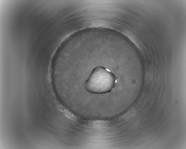 X0000071850832200607072259