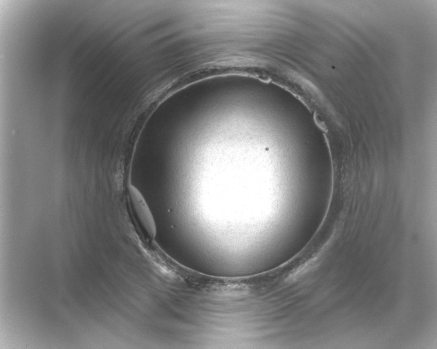 X0000071850833200607072259