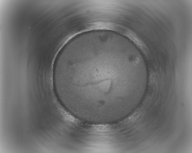 X0000071850836200607072259