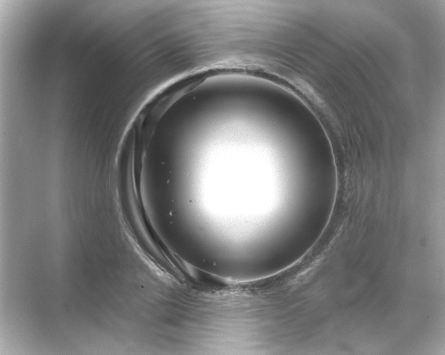 X0000071850838200607072259