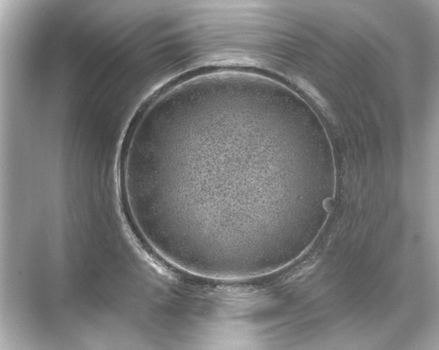 X0000071850840200607072259