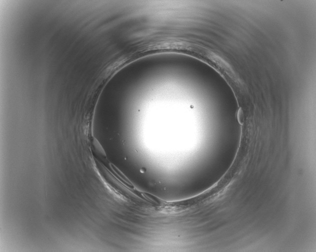 X0000071850841200607072259