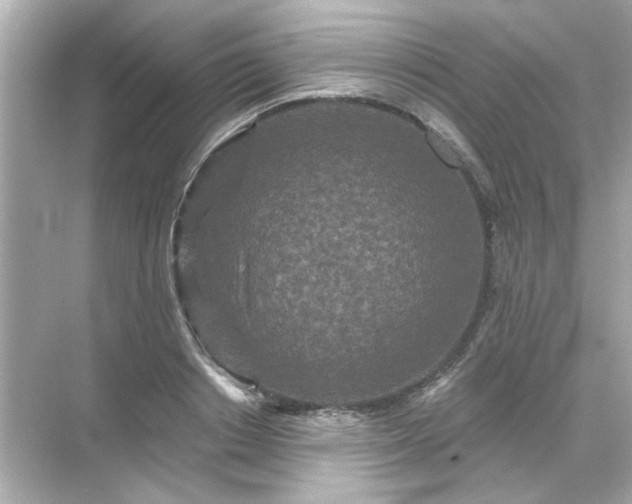 X0000071850842200607072259