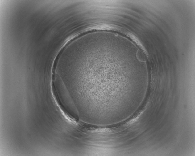 X0000071850845200607072259