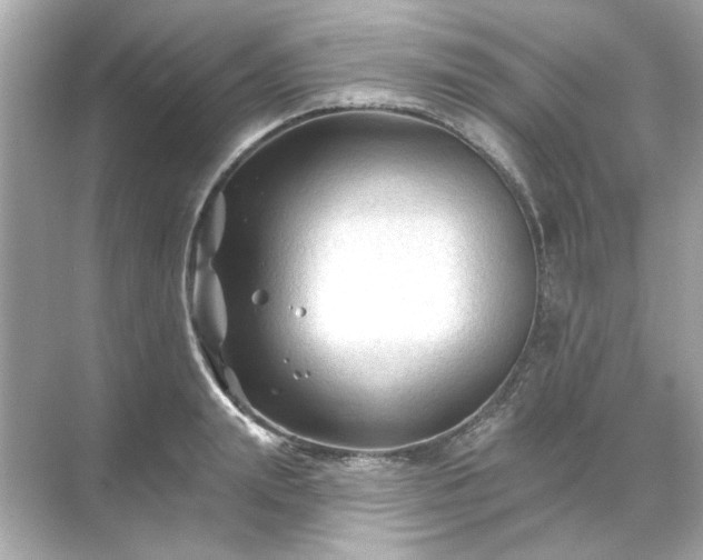 X0000071850847200607072259