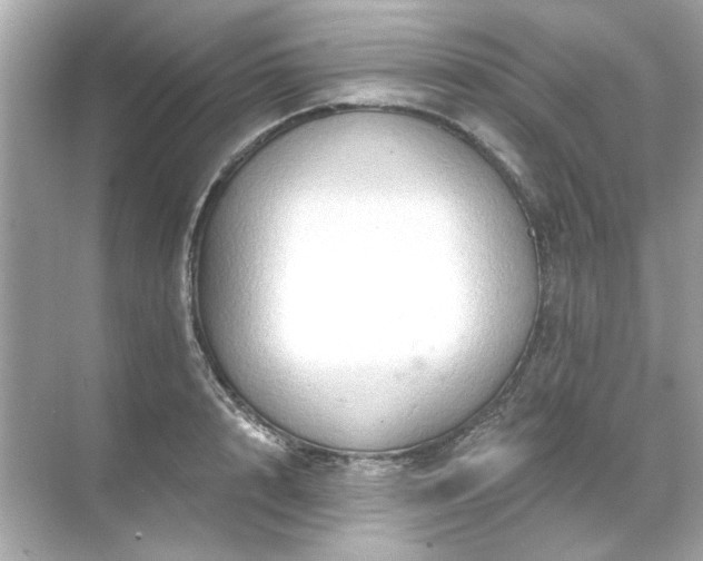 X0000071850848200607072259