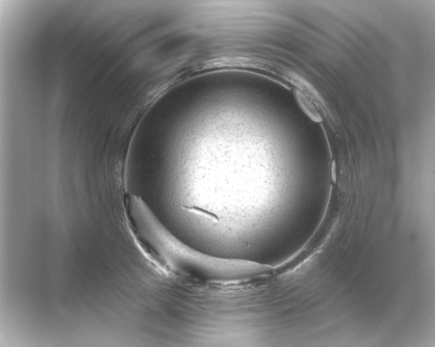 X0000071850849200607072259