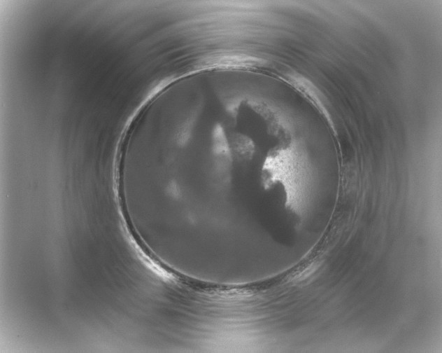 X0000071850851200607072259