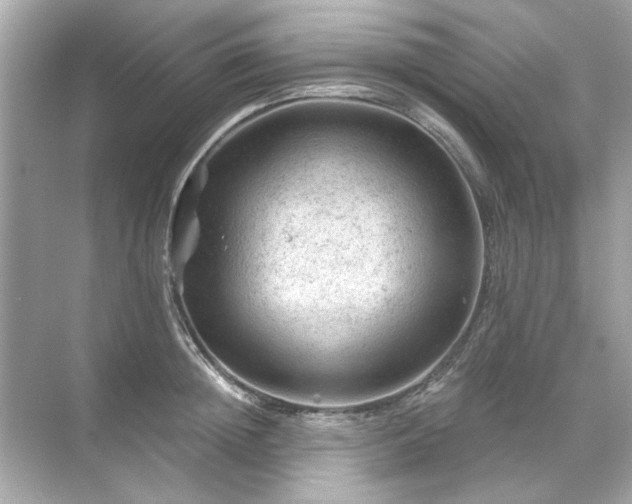 X0000071850852200607072259