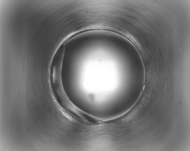 X0000071850854200607072259