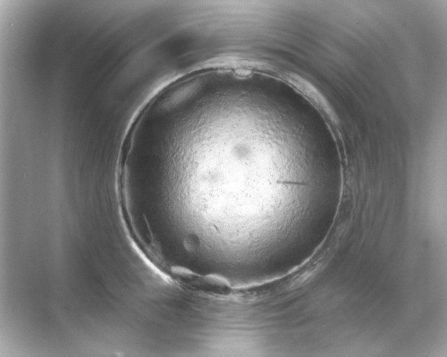 X0000071850855200607072259