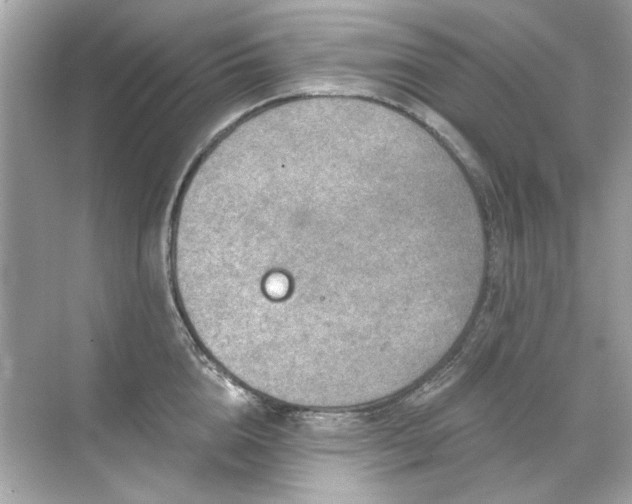 X0000071850856200607072259