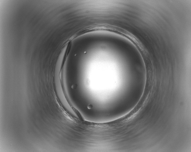 X0000071850857200607072259