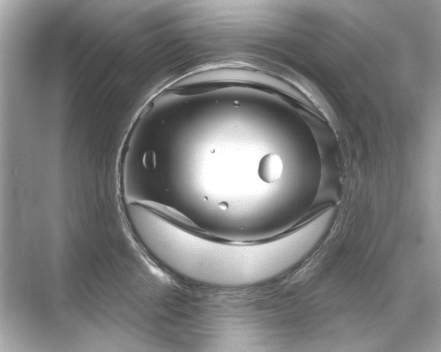 X0000071850858200607072259