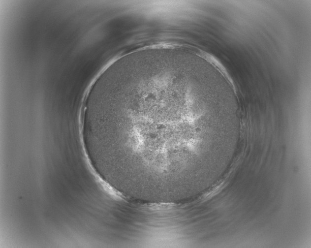 X0000071850859200607072259