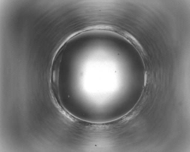 X0000071850860200607072259