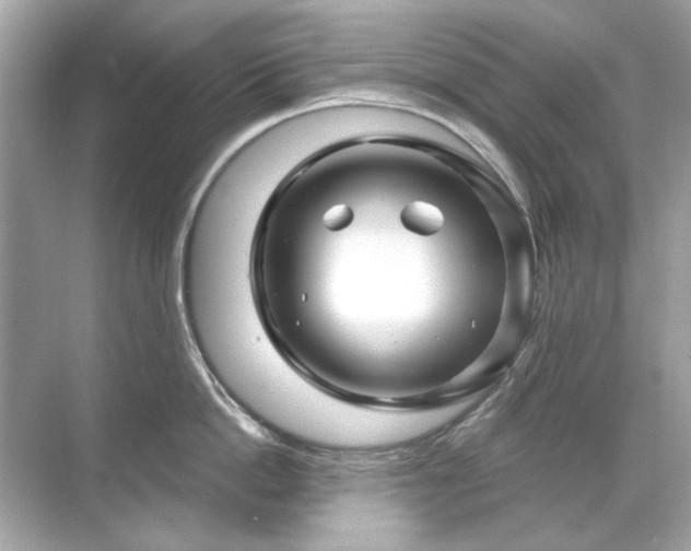 X0000071850862200607072300