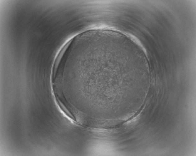 X0000071850863200607072300