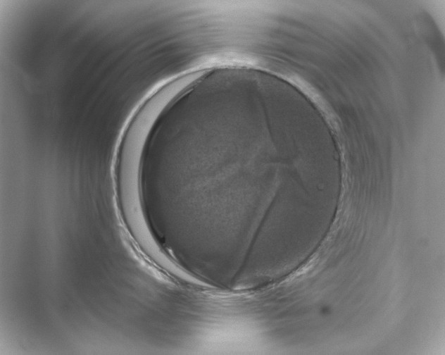 X0000071850864200607072300