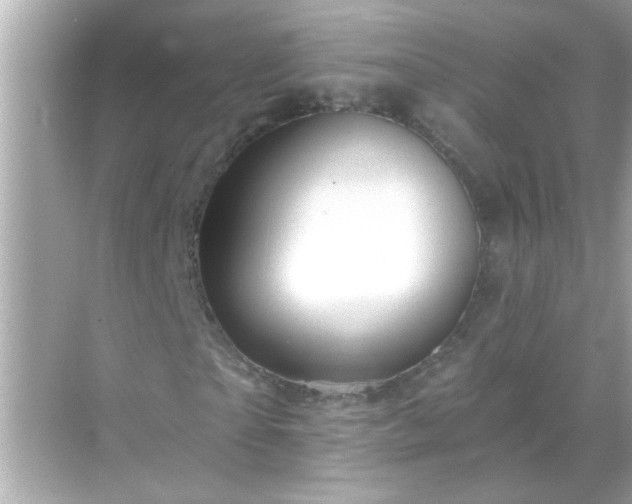 X0000071850865200607072259