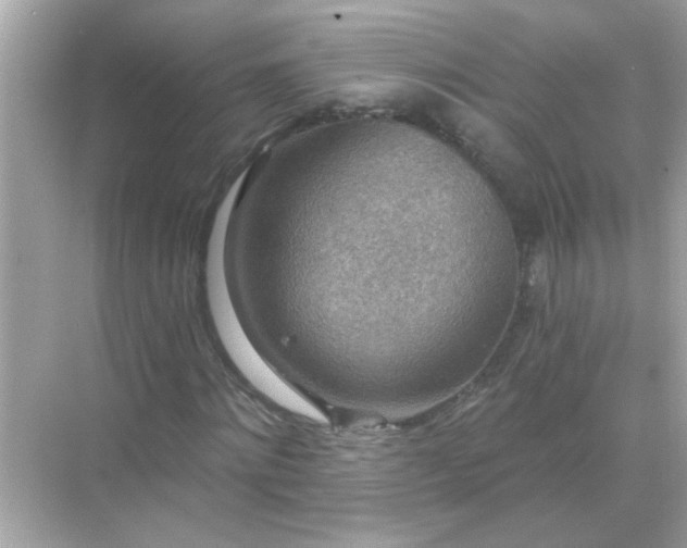 X0000071850868200607072259