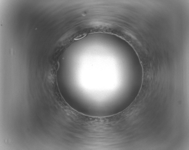 X0000071850869200607072259