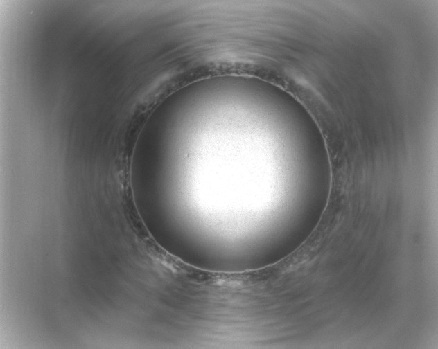 X0000071850870200607072259