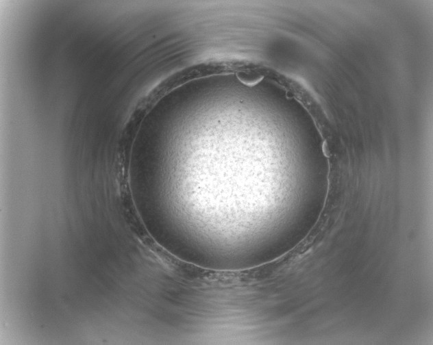 X0000071850871200607072259